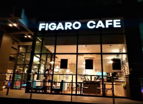 Studio Work Living Horizon 101