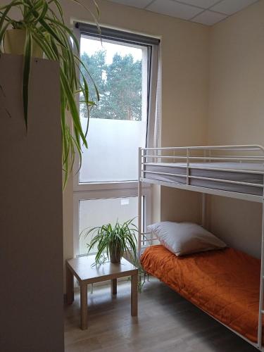 Hostel Lubelski
