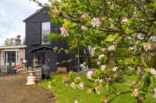 Studio Hooischuur Alkmaar/Bergen