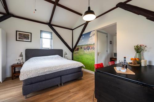 Studio Hooischuur Alkmaar/Bergen