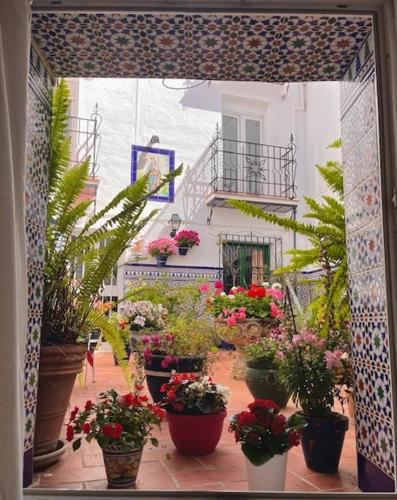 Hostal Enriqueta