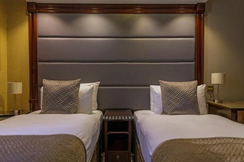 Shaftesbury Hyde Park International