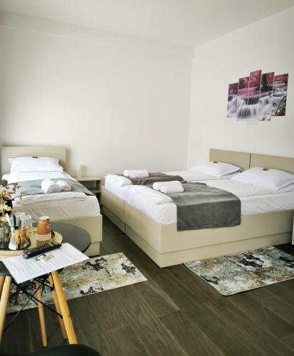 Adriana Touristik Hostel 3 Stele Arad