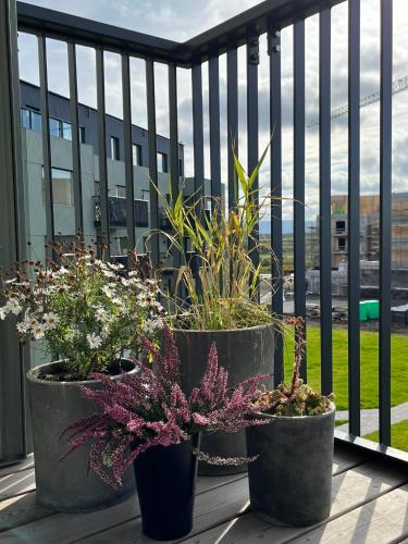 Banlieues de Reykjavik, nouvel appartement magnifique, à deux pas de la nature