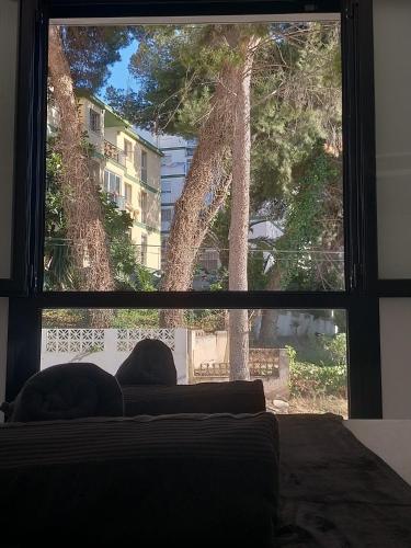 Terraza del Bajondillo Torremolinos