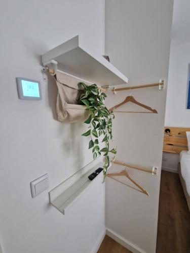 Casa do Albuquerque II