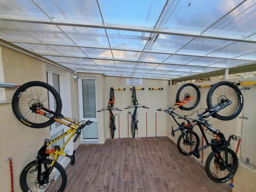 Joyfül Accomodation