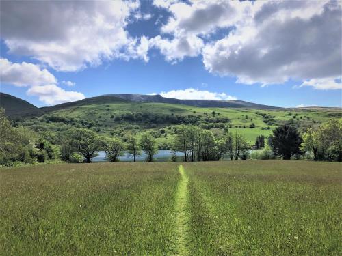 Trigonos - Quiet, Peaceful, Vegetarian B&B and Retreat Centre