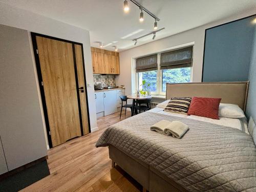 Przytulne mieszkanie w centrum miasta