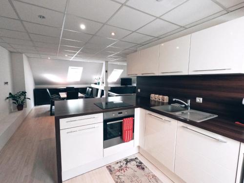 Blumental apartment, garden, AC