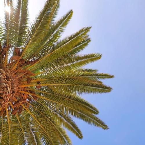 Borda d'Agua Apartments