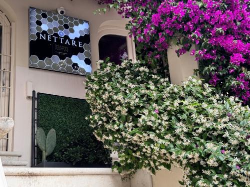 Dimora Nettare