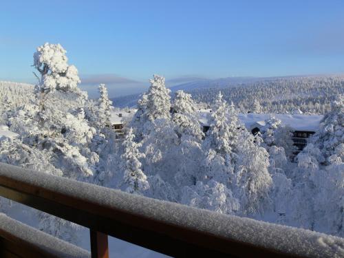 Lapland Hotels Riekonlinna
