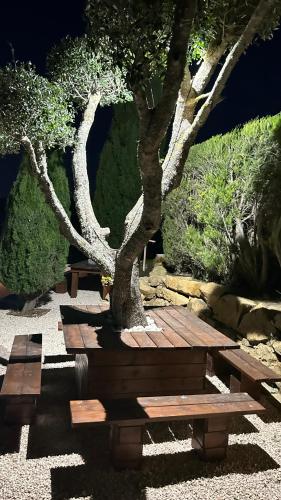 Eco Natura Falcoeira - Praia da Luz