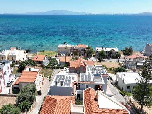 Shallow Sea Apartments