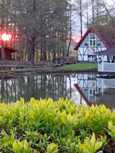 Gazdu Vandens Malunas