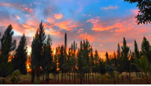 Alina Farm Resort- Two Bedroom Villa