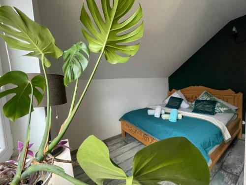 Zakątek Słoneczny pod Baranią Górą