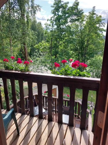 Cronin's Café & Guesthouse