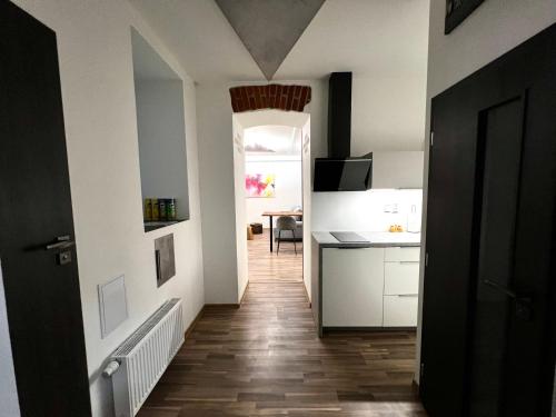 Palackého Lobby Apartment