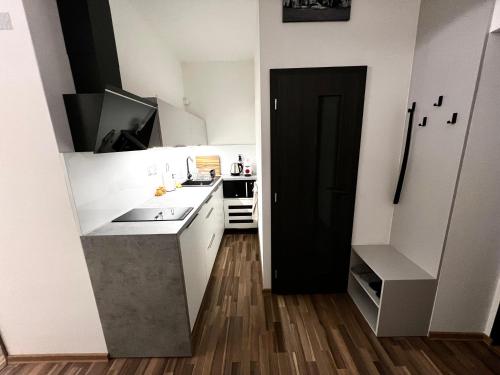 Palackého Lobby Apartment