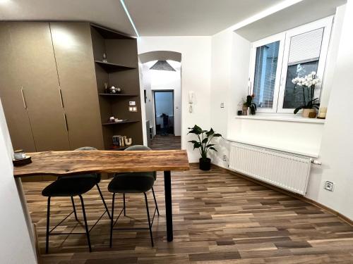 Palackého Lobby Apartment