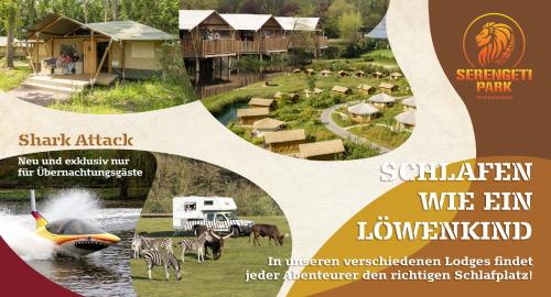 Park - Serengeti Park