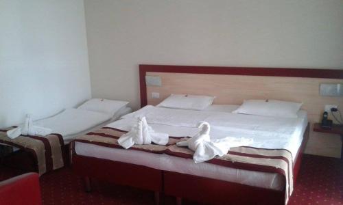 Hotel Solymar