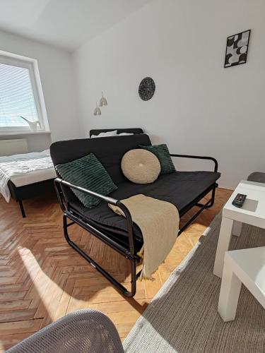 Apartman Březinova