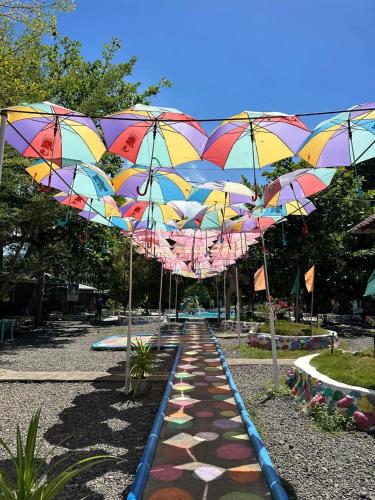 Hardrock Lux Spring Resort