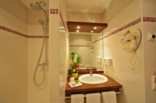 Hôtel Mercure Castres L'Occitan