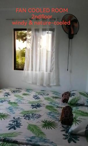 Uncle Bob&Tere Beachfront House