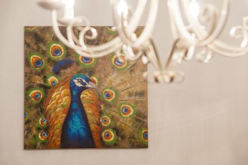 Apartments Artorius Lasko