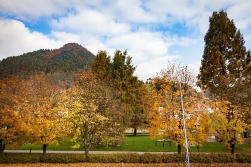 Apartments Artorius Lasko