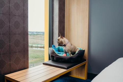 Aloft Aberdeen TECA