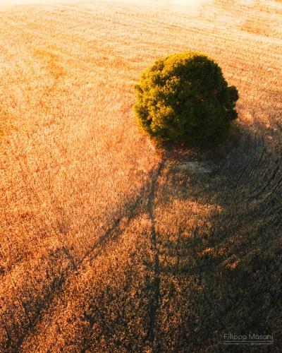 Borgo di Pieve a Salti