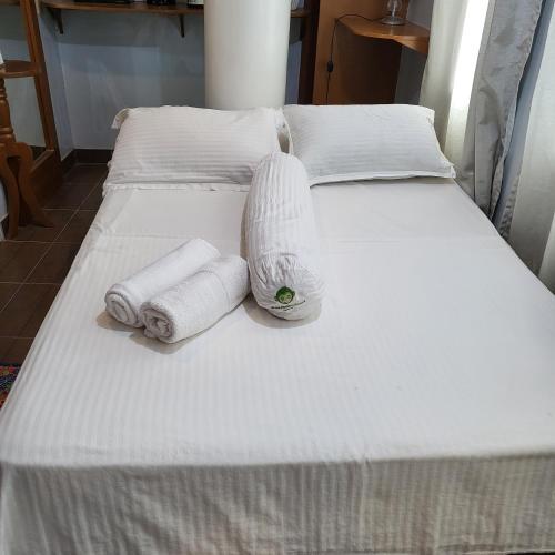 Green Monkey Resort
