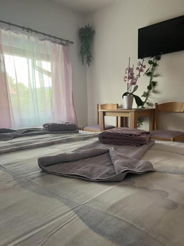 Garni Pension TTT