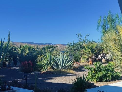 Cortijo Oro Verde