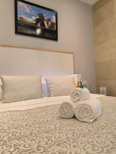 HABITACION CON HERMOSAS VISTAS A BILBAO