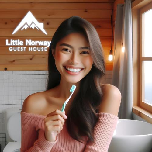 Little Norway Guesthouse