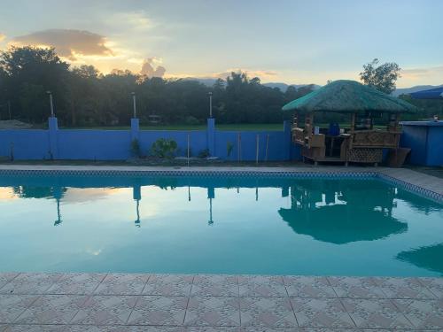 Scarlett Near Mount Zion