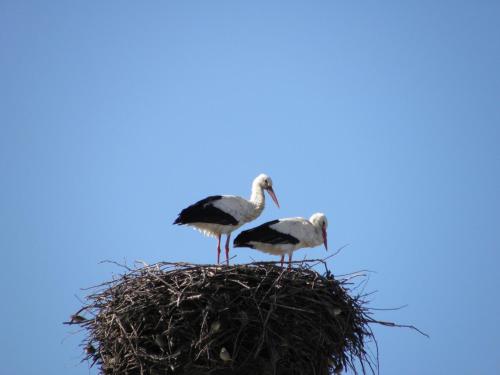 Beholiday Santiago Apartments