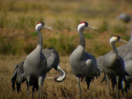 Beholiday Santiago Apartments