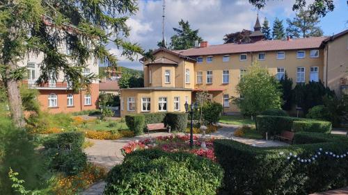 Ow Meduza I Biala Mewa