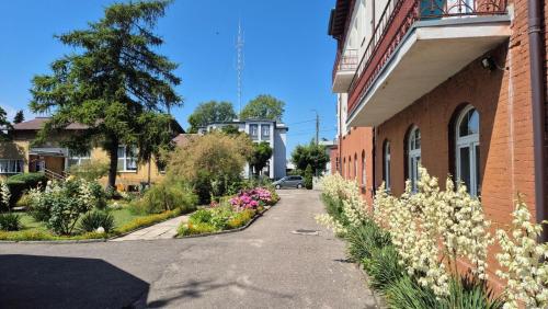 Ow Meduza I Biala Mewa