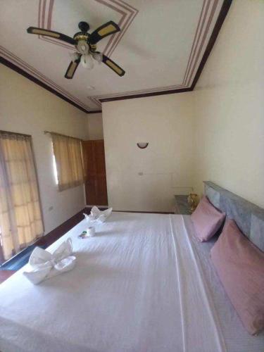 Dolphinbay Beachfront & Dive Resort