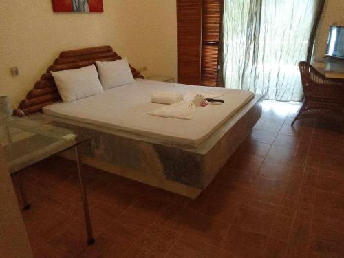 Dolphinbay Beachfront & Dive Resort