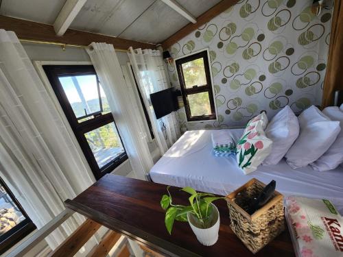 Divine Nature Cuyambay Tanay