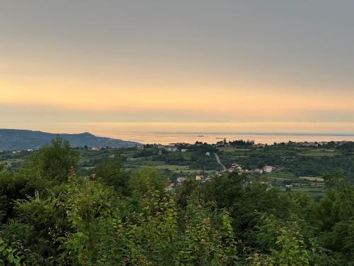 Green Istria